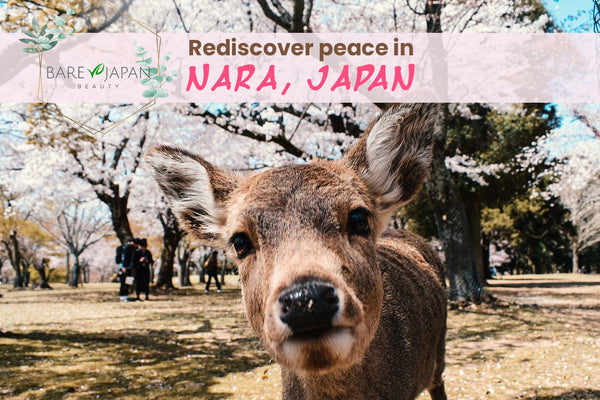 Rediscover peace in Nara, Japan